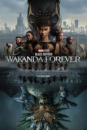Black Panther Wakanda Forever 2022 مترجم
